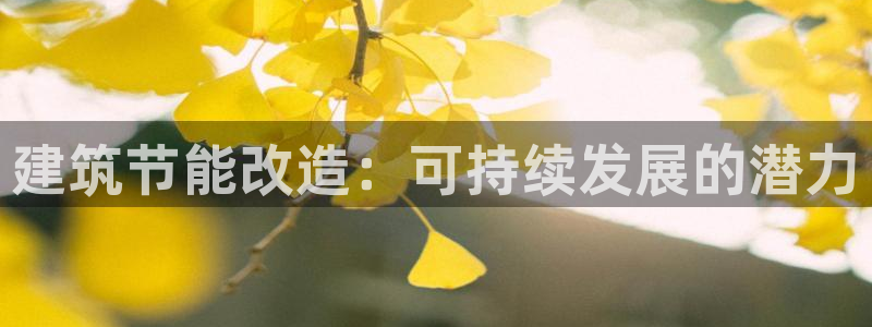 e尊国际客服：建筑节能改造：可持续发展的潜力