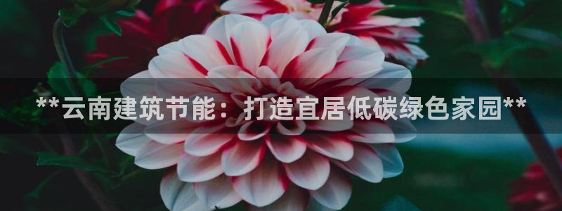 e尊国际是干什么的