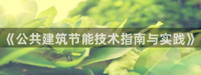 尊亿游戏国际官网：《公共建筑节能技术指南与实践》