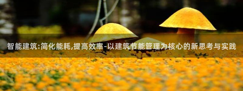 尊亿游戏国际官网：智能建筑:简化能耗,提高效率-以建筑节能管理为核心的新思考与实践