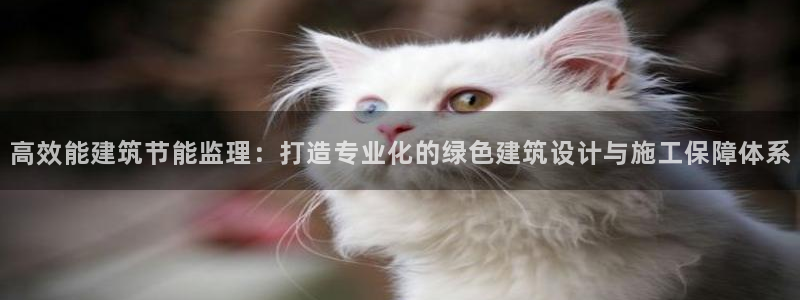 e尊国际网址：高效能建筑节能监理：打造专业化的绿色建筑设计与施工保障体系