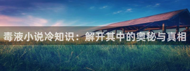 小说17k小说网：毒液小说冷知识：解开其中的奥秘与真相
