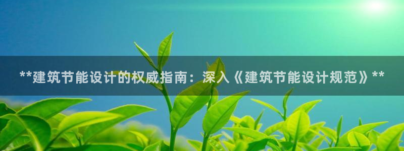 e尊国际平台：**建筑节能设计的权威指南：深入《建筑节能设计规范》**