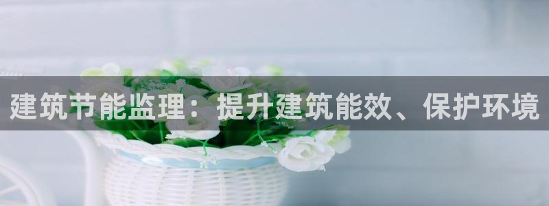e尊国际官网：建筑节能监理：提升建筑能效、保护环境