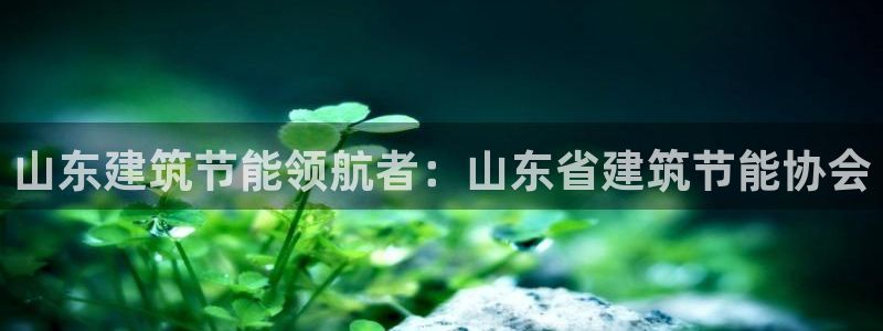 e尊国际-e尊国际官网：山东建筑节能领航者：山东省建筑节能协会