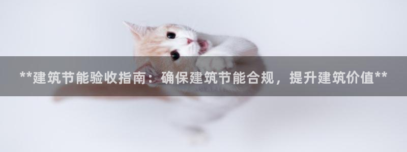e尊国际可靠吗：**建筑节能验收指南：确保建筑节能合规，提升建筑价值**