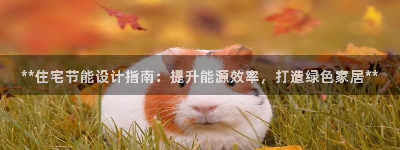 e尊国际平台：**住宅节能设计指南：提升能源效率，打造绿色家居**