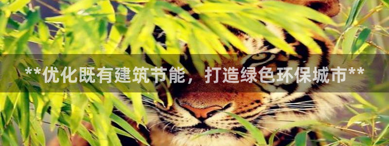 e尊国际客户端：**优化既有建筑节能，打造绿色环保城市**