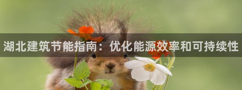 e尊国际平台
