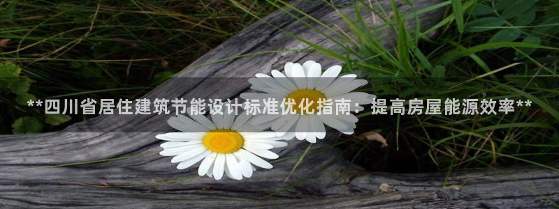 e尊国际网址：**四川省居住建筑节能设计标准优化指南：提高房屋能源效率**