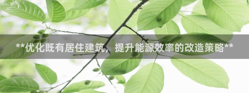 e尊国际的手机登录网站：**优化既有居住建筑，提升能源效率的改造策略**