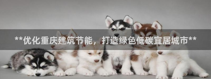 e尊国际官方网站：**优化重庆建筑节能，打造绿色低碳宜居城市**