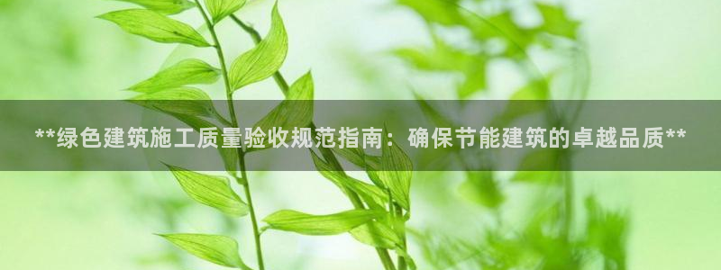 谁知道e尊国际的网址：**绿色建筑施工质量验收规范指南：确保节能建筑的卓越品质**