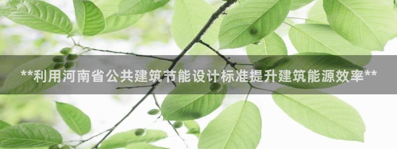 e尊国际官网：**利用河南省公共建筑节能设计标准提升建筑能源效率**