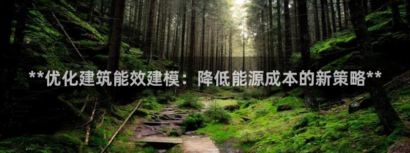 e尊国际客服：**优化建筑能效建模：降低能源成本的新策略**