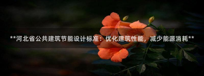 e尊国际-e尊国际官网：**河北省公共建筑节能设计标准：优化建筑性能，减少能源消耗**