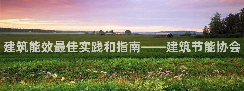 e尊体育：建筑能效最佳实践和指南——建筑节能协会