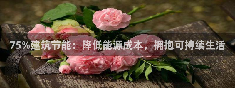 e尊国际是干什么的：75%建筑节能：降低能源成本，拥抱可持续生活