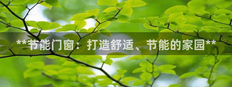 e尊国际官网：**节能门窗：打造舒适、节能的家园**