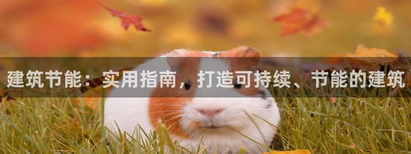 e尊国际官网：建筑节能：实用指南，打造可持续、节能的建筑
