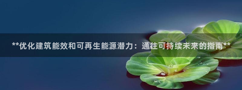 e尊国际客户端：**优化建筑能效和可再生能源潜力：通往可持续未来的指南**
