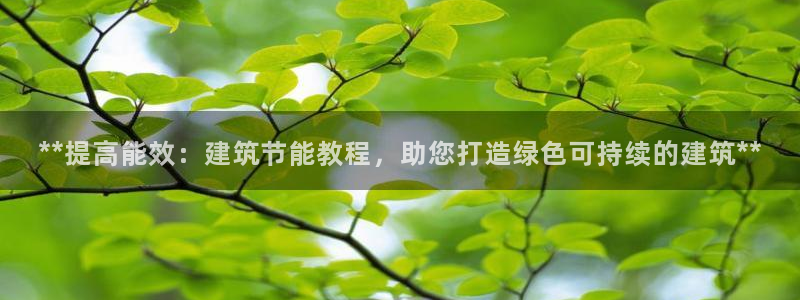 尊亿游戏国际官网：**提高能效：建筑节能教程，助您打造绿色可持续的建筑**