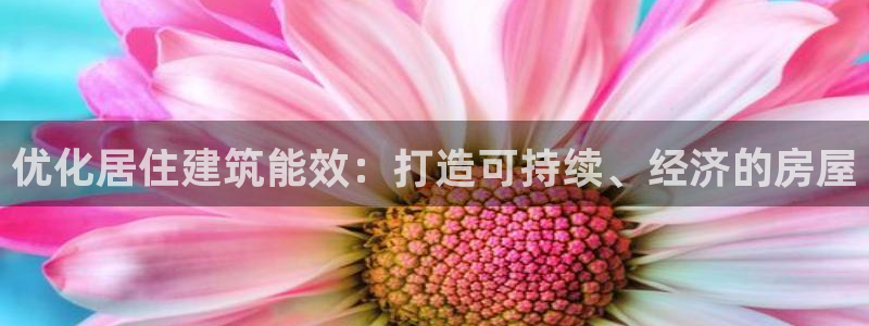 e尊国际网址：优化居住建筑能效：打造可持续、经济的房屋