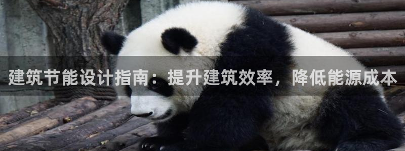 e尊国际官网app：建筑节能设计指南：提升建筑效率，降低能源成本