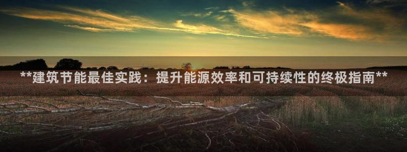 E尊国际：**建筑节能最佳实践：提升能源效率和可持续性的终极指南**