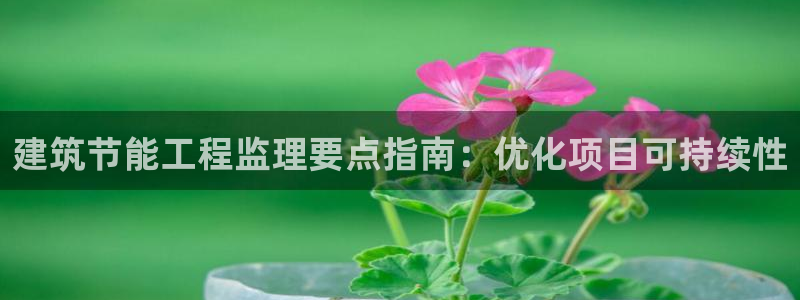 e尊国际平台：建筑节能工程监理要点指南：优化项目可持续性