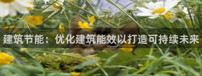 e尊官网