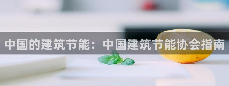 e尊国际平台：中国的建筑节能：中国建筑节能协会指南