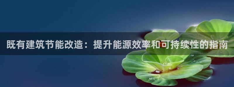 e尊国际是干什么的：既有建筑节能改造：提升能源效率和可持续性的指南