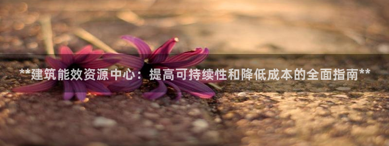 e尊国际客户端下载：**建筑能效资源中心：提高可持续性和降低成本的全面指南**