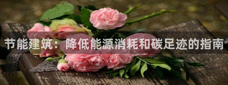 e尊电竞：节能建筑：降低能源消耗和碳足迹的指南