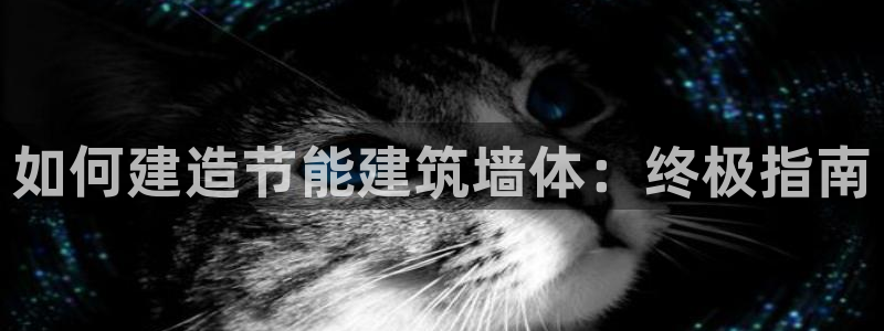 e尊平台：如何建造节能建筑墙体：终极指南