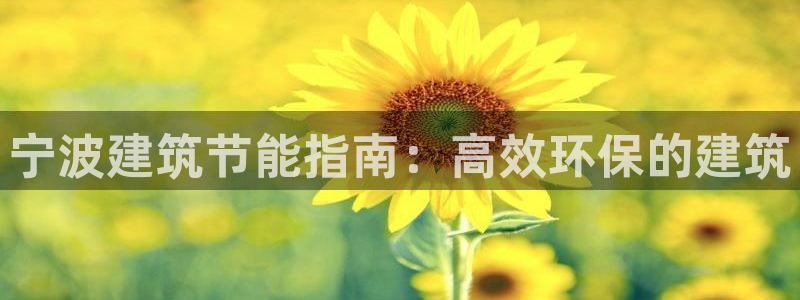 e尊国际平台：宁波建筑节能指南：高效环保的建筑