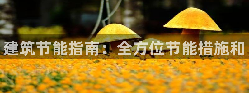 e尊国际网址：建筑节能指南：全方位节能措施和