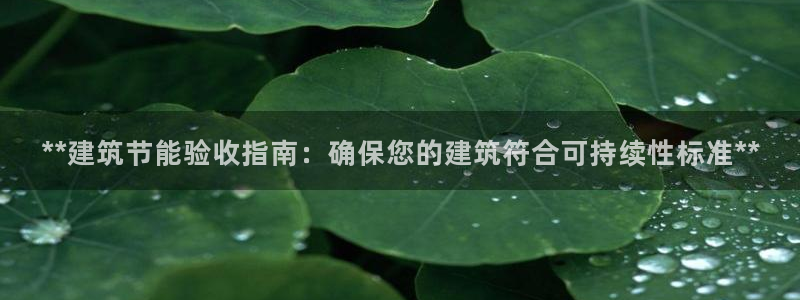 e尊国际娱乐官网地址：**建筑节能验收指南：确保您的建筑符合可持续性标准**