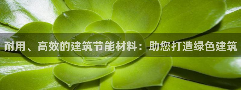 e尊国际是个黑网