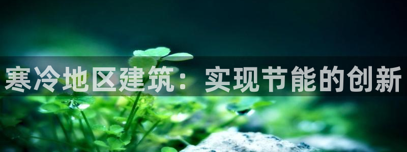 e尊国际app