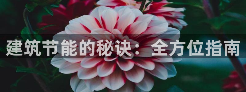 e尊国际平台