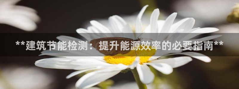 e尊国际客户端