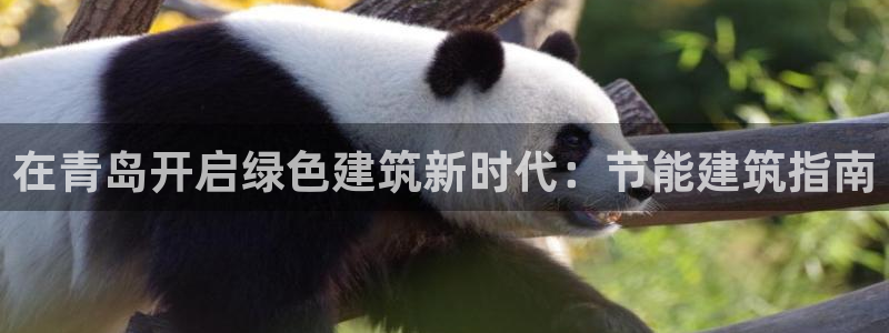e尊国际网址：在青岛开启绿色建筑新时代：节能建筑指南