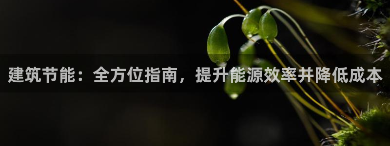 尊亿娱乐国际官网：建筑节能：全方位指南，提升能源效率并降低成本