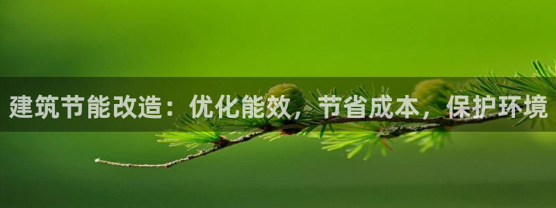 e尊国际官方网站：建筑节能改造：优化能效，节省成本，保护环境
