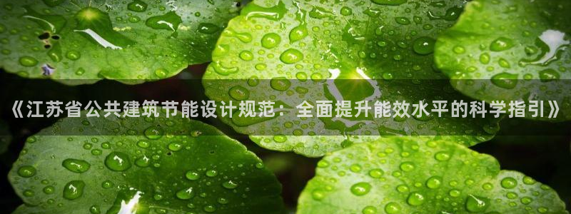 e尊国际平台：《江苏省公共建筑节能设计规范：全面提升能效水平的科学指引》