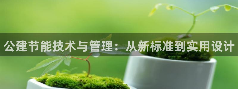 e尊国际平台：公建节能技术与管理：从新标准到实用设计