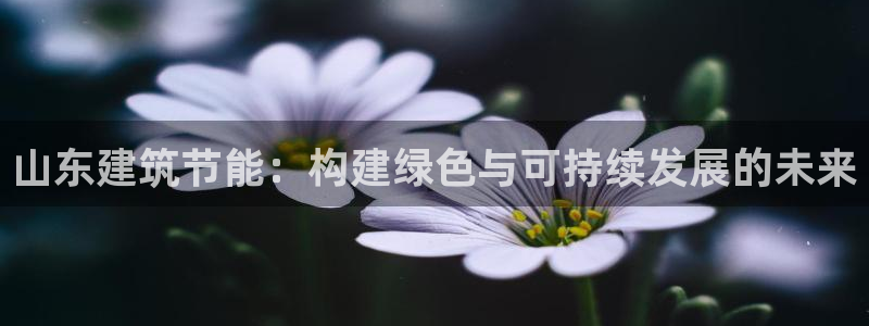 e尊国际客户端下载