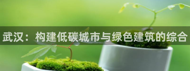 e尊国际平台